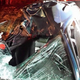 Illustration for article titled Moose Collision Turns Subaru Into Convertible